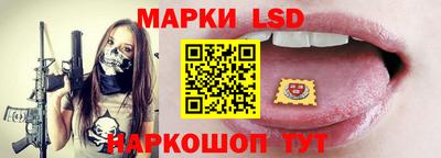 шишки Кимры