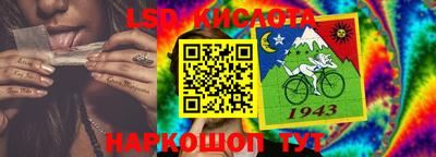 ГАЛЛЮЦИНОГЕННЫЕ ГРИБЫ Кингисепп