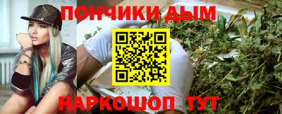 шишки Кимры
