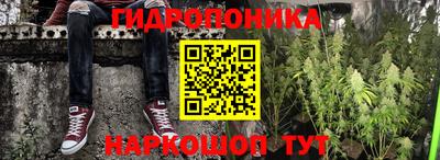 шишки Кимры