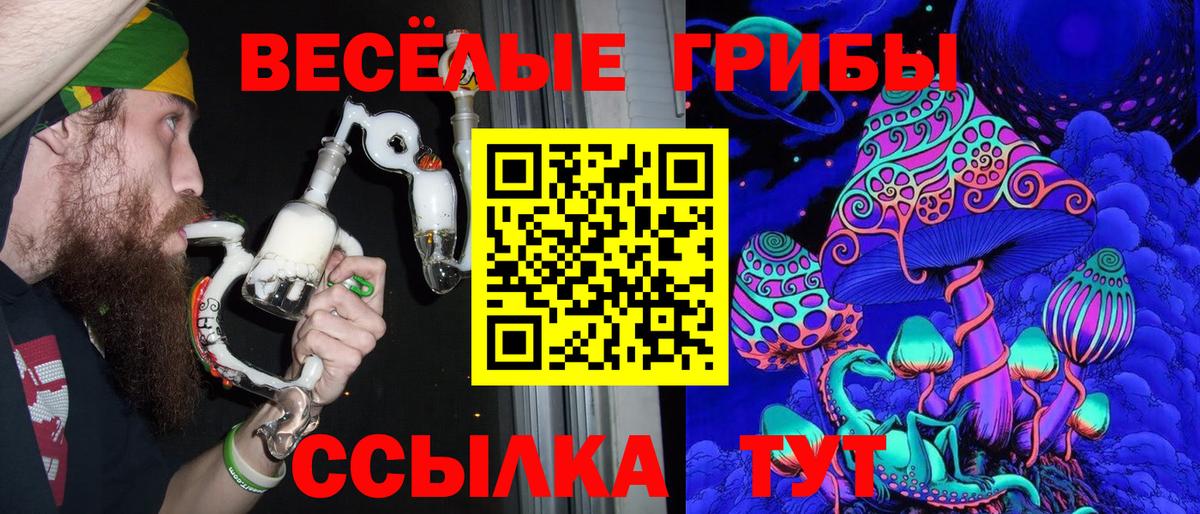 Псилоцибиновые грибы прущие грибы Смоленск